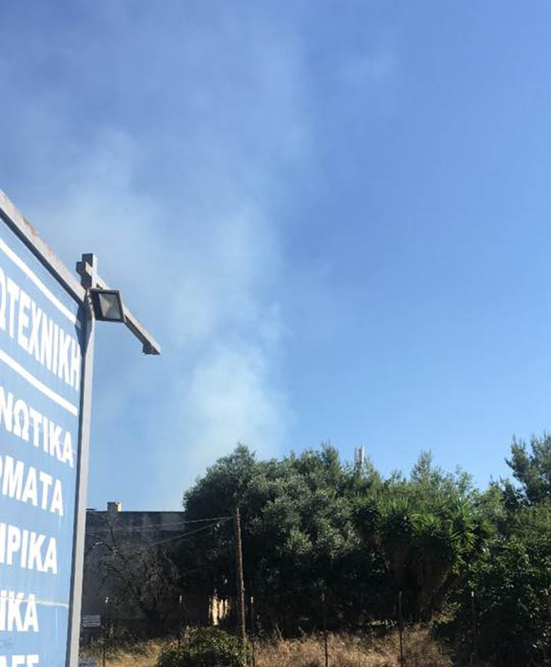 Πυρκαγιά στην περιοχή Φοίνικας του Δήμου Σπάτων-Αρτέμιδας