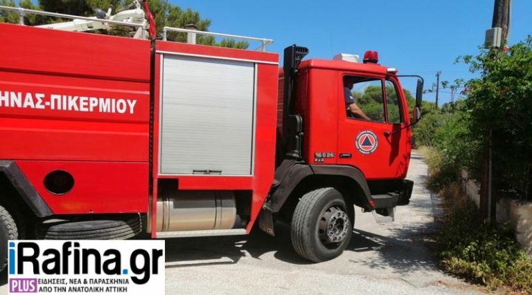 Πολιτική Προστασία Ραφήνας: Η πυροφύλακας στο Μελτέμι είδε την φωτιά στην Αρτέμιδα και σήμανε συναγερμός