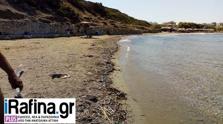 Ραφήνα: Ακόμα “ξεβράζει” η θάλασσα ξύλα και σκουπίδια από την Εύβοια στις Μαρίκες (φωτορεπορτάζ)