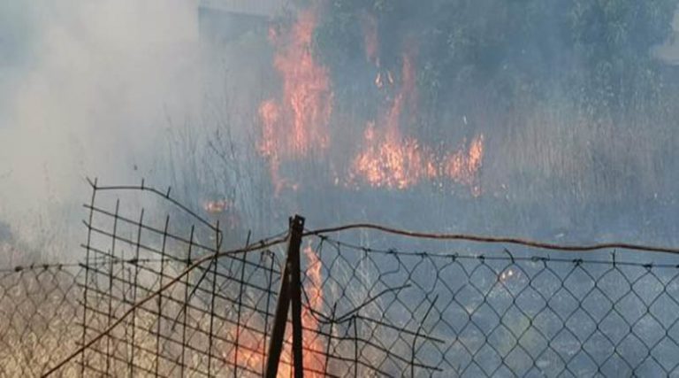 Άμεση επέμβαση σε πυρκαγιά στον Γέρακα (φωτό)