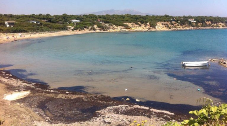 Αντ. Φύτρος: Στο δήμο Σπάτων Αρτέμιδος και όχι στη Ραφήνα η παραλία “Φίλιππας”