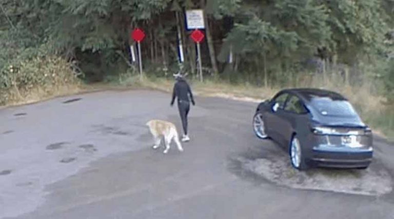 Θλίψη και οργή: Γυναίκα παρατάει τον σκύλο της σε πάρκο και φεύγει με το Tesla της