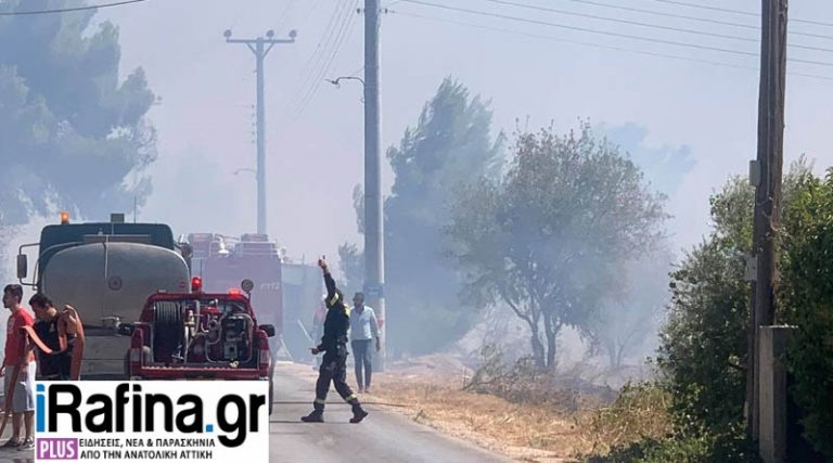 Πολύ υψηλός κίνδυνος πυρκαγιάς την Κυριακή (17/7) σε Ραφήνα, Πικέρμι & Αν. Αττική – Απαγόρευση κυκλοφορίας σε Οχυρό & Βαλανάρη