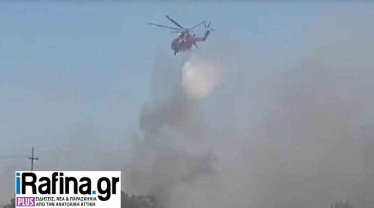 Φωτιά στην Αρίωνος: Ξεκίνησαν ρίψεις τα εναέρια μέσα (φωτό & βίντεο)