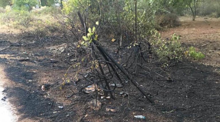 Φωτιά σε πευκόφυτη περιοχή στην Αρτέμιδα – Έγκαιρη επέμβαση της ΕΟΜΑΚ (φωτό)