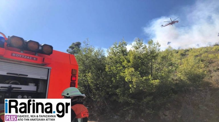 Έκτακτο: Φωτιά στη Λ. Διονύσου – Αυτοκίνητο τυλίχθηκε στις φλόγες!