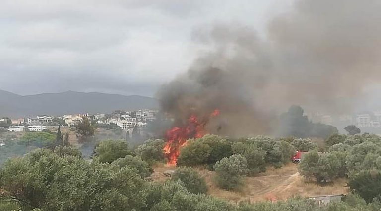 Οι πρώτες εικόνες από τη φωτιά στην Παλλήνη (φωτό)