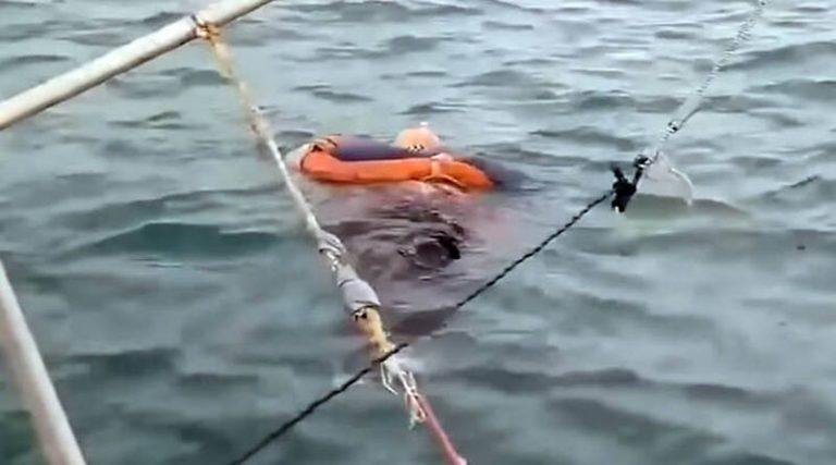 Μυστήριο με γυναίκα που αγνοούνταν για δύο χρόνια και την βρήκαν στη θάλασσα ζωντανή! (βίντεο)
