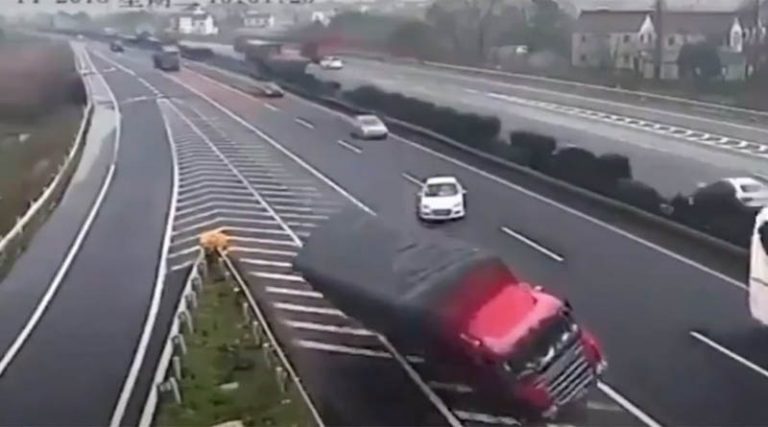 Σαν άλλος χάρος! Αυτός είναι ο πιο ηλίθιος οδηγός στον κόσμο! (video)