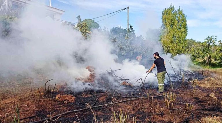 Αρτέμιδα: Έβαλε φωτιά για να κάψει ξερά χόρτα και του ξέφυγε! (φωτό)