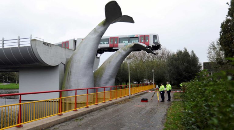Συρμός του μετρό προσγειώθηκε στην… ουρά μιας φάλαινας (φώτος)