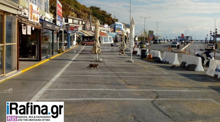 Ραφήνα: Σαν να είχαμε lockdown! Άδεια η πλατεία, μόνο γάτες κυκλοφορούν στο λιμάνι! (φωτορεπορτάζ)