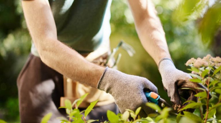Εταιρεία στην Ανατολική Αττική ζητά βοηθό κηπουρού