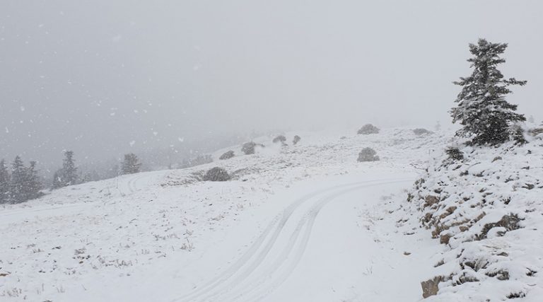 Αλπικό τοπίο στον Παρνασσό: Πέφτει πυκνό χιόνι – Υπέροχες εικόνες (φωτό & βίντεο)
