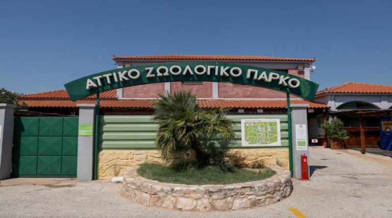 Αμυράς: Το υπουργείο δεν μπορεί να κλείσει το Αττικό Ζωολογικό Πάρκο στα Σπάτα