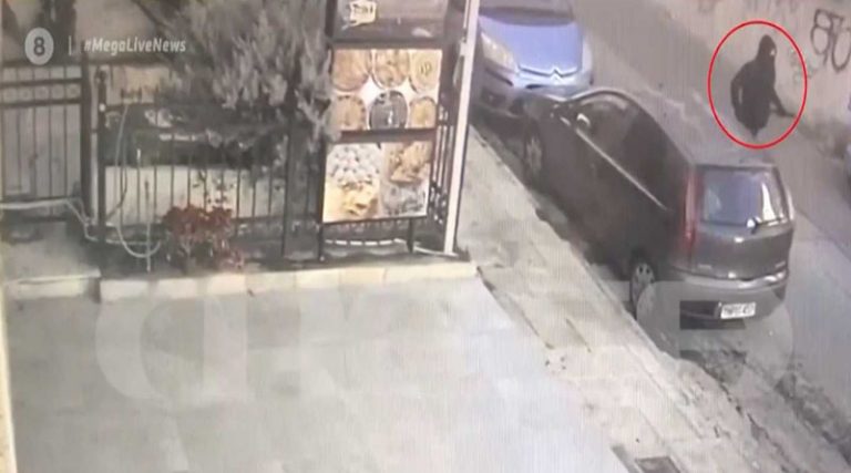 Βίντεο ντοκουμέντο της φονικής επίθεσης με τόξο σε σκύλο