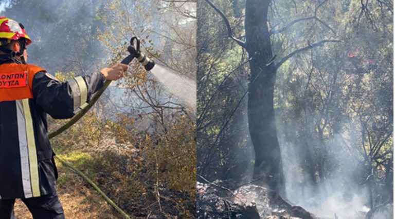 Εικόνες και βίντεο από την κατάσβεση της φωτιάς στο Σέσι Γραμματικού