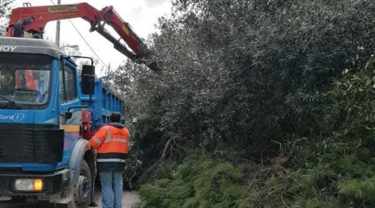 Πεντέλη: Απομακρύνθηκαν 30.000 κυβικά πεσμένων δέντρων μετά τη «Μήδεια»!