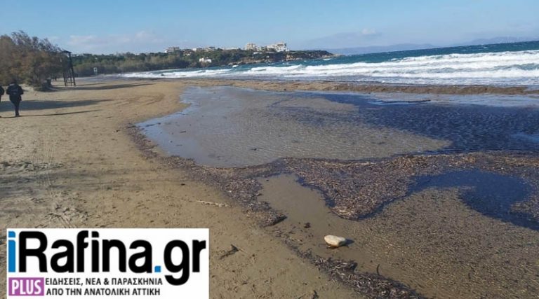 Ραφήνα: “Μύθοι και πραγματικότητες σχετικά με τα βράχια στην παραλία Μαρίκες”