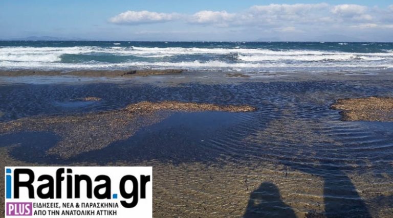 Ραφήνα: Άμεση αντίδραση του Οργανισμού Λιμένος, μετά το κείμενο του iRafina.gr, για θαλάσσια ρύπανση στις Μαρίκες (φωτό)