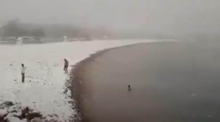 Κακοκαιρία «Μήδεια»: Τολμηροί χειμερινοί κολυμβητές κάνουν βουτιές σε Γλυφάδα και Βουλιαγμένη! (φωτό & βίντεο)