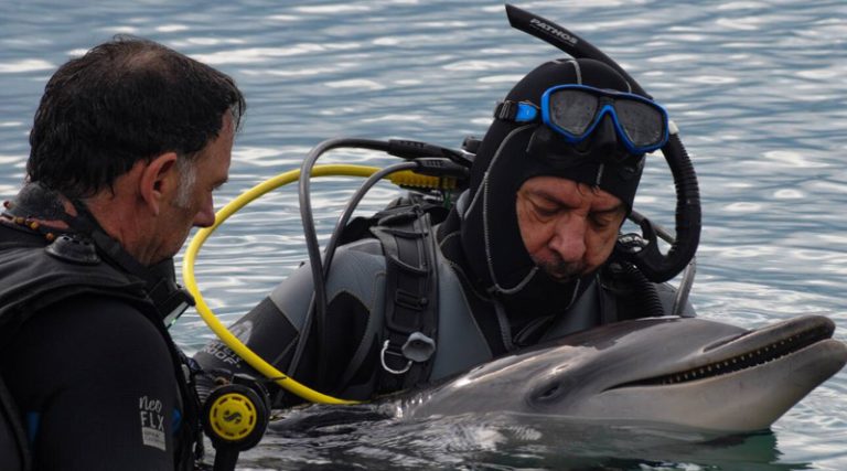 Θλίψη για νεκρό δελφίνι – Μπλέχτηκε στα δίχτυα ψαράδων (φωτό)