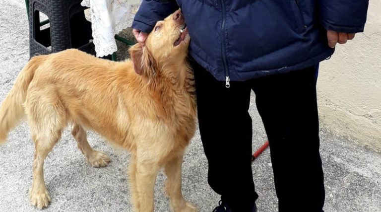 Σεισμός Ελασσόνα: Ο σκύλος “φύλακας άγγελος” που έσωσε οικογένεια – Τους τράβαγε από το πόδι & τους έβγαλε από το σπίτι