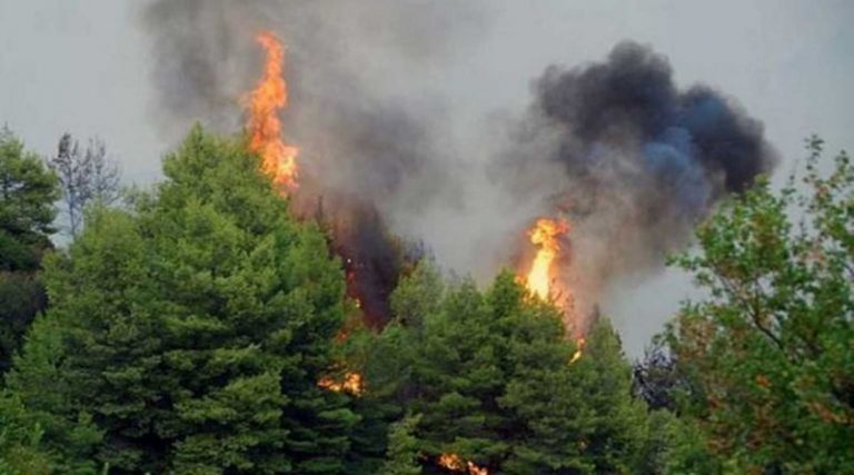 Μεγάλη φωτιά στα Καμένα Βούρλα – Απειλούνται σπίτια (βίντεο)