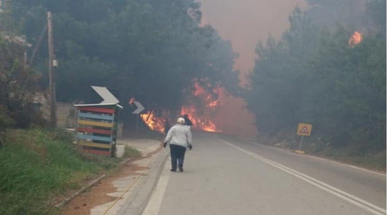 Κοντά σε σπίτια η φωτιά στη Σάμο – Ενίσχυση των πυροσβεστικών δυνάμεων (βίντεο)