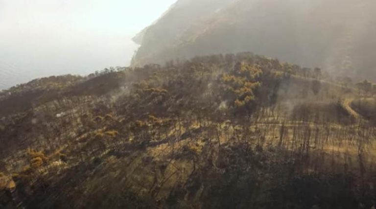 Σχίνος Κορινθίας: Πριν και μετά την καταστροφική πυρκαγιά (βίντεο)
