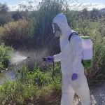 Νέοι ψεκασμοί για την καταπολέμηση των κουνουπιών από την Τρίτη (6/6) σε Ραφήνα, Μαραθώνα, Αρτέμιδα, Παλλήνη & Μαρκόπουλο
