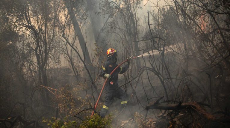 Φωτιά τώρα στη Φθιώτιδα – Δόθηκε εντολή εκκένωσης οικισμού
