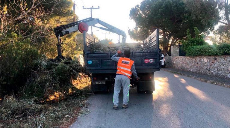 Δήμος Μαραθώνα: Ξεκίνησε ο καθαρισμός του πευκοδάσους στο Σχινιά – Ακολουθούν Ζούμπερι & Άγ. Ανδρέας