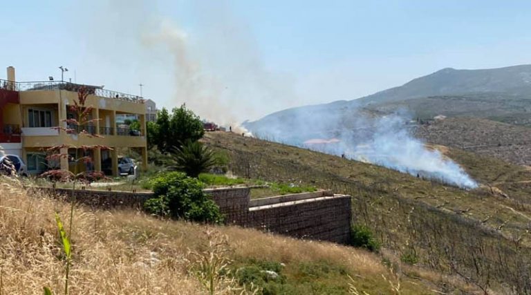 Οι πρώτες εικόνες από τη φωτιά στο Νέο Βουτζά – Άμεση επέμβαση της Πυροσβεστικής (φωτό & βίντεο)