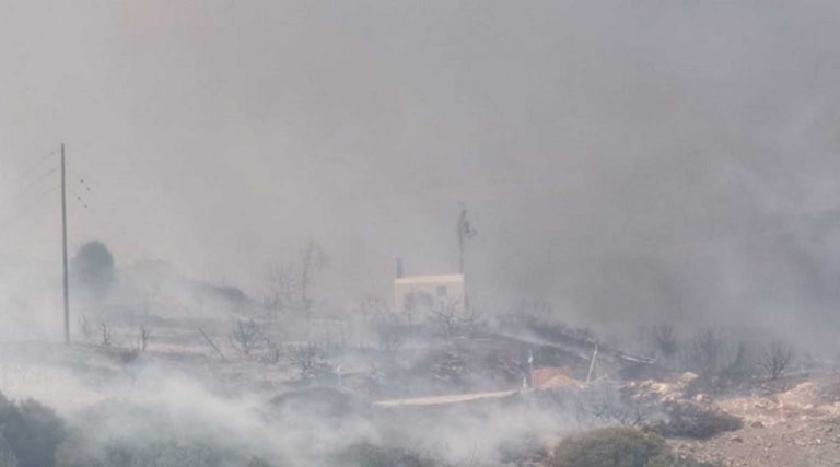 Φωτιά στην Πάρο: Έφτασαν κοντά στα σπίτια οι φλόγες (βίντεο)