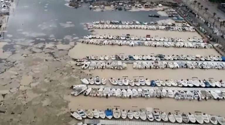 Συναγερμός για μολυσματική γλίτσα στη θάλασσα του Μαρμαρά – Κατευθύνεται προς Αιγαίο! (φωτό & βίντεο)