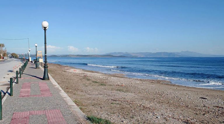 Το Σάββατο 10 Ιουλίου καθαρίζουμε τις παραλίες του Δήμου Μαραθώνος