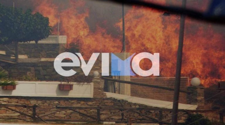 Μεγάλη φωτιά στην Κάρυστο – Οι φλόγες «έγλειψαν» σπίτια! (φωτό & βίντεο)