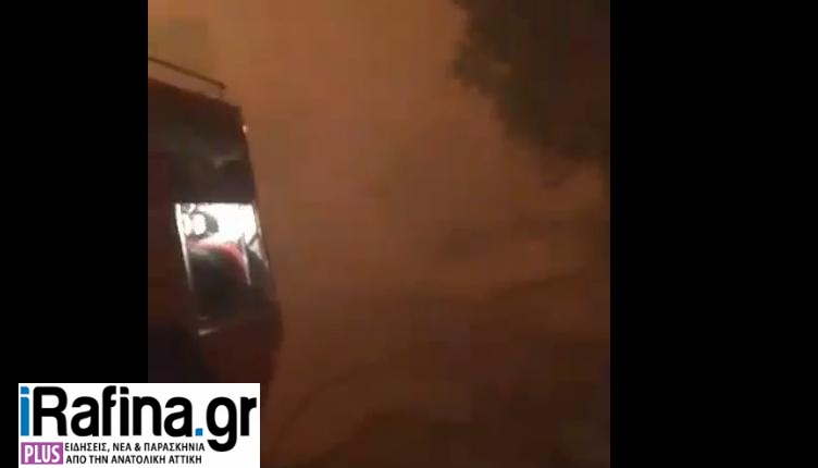 Ραφήνα: Για πρώτη φορά στη δημοσιότητα το συγκλονιστικό βίντεο από τη φωτιά στο Κ. Λιμανάκι – Έτσι έσωσε κόσμο η Πολ. Προστασία!