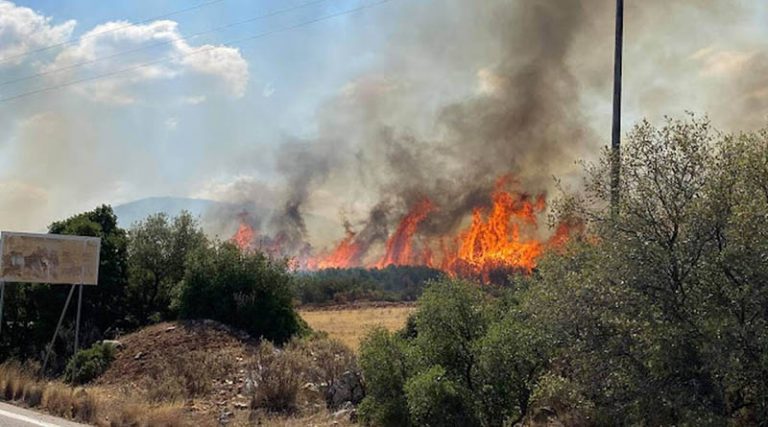 Σε εξέλιξη φωτιά σε δασική έκταση στο Ναύπλιο (φωτό)