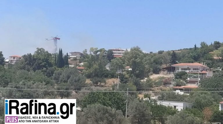 Παλλήνη: Ρίψεις από τα ελικόπτερα πάνω από τα σπίτια – Υπό έλεγχο η φωτιά (φωτό & βίντεο)
