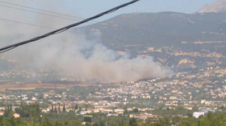 Φωτιά, Πάτρα: Με εγκαύματα πολίτης – Στη Δροσιά το πύρινο μέτωπο – Κάηκαν σπίτια στο Άνω Σούλι