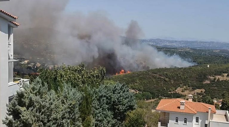 Κοινοτάρχης Ροδόπολης: «Καθαρός εμπρησμός -Έχουν καεί 20 σπίτια & αυτοκίνητα» – Έκτακτες ανακοινώσεις Χαρδαλιά