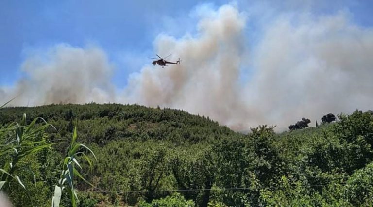 Δήμαρχος Μαραθώνα για τη φωτιά στον Βαρνάβα: Έχουμε αναζωπύρωση – Κινδυνεύουν αγροικίες