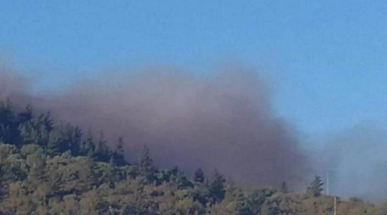 Μεγάλη φωτιά τώρα στη Χίο: Εγκαταλείπουν τα σπίτια τους οι κάτοικοι της Κατάβασης!