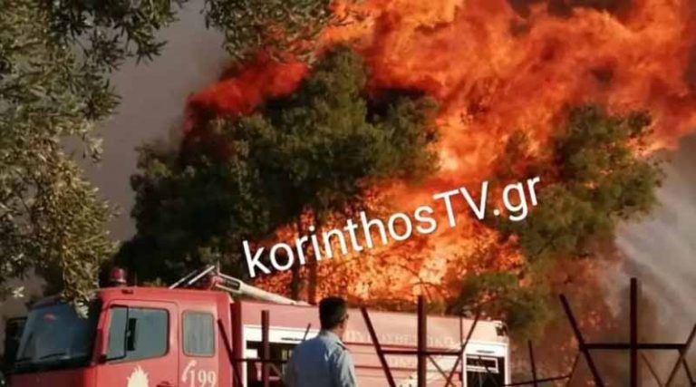 Κόρινθος: Μαίνεται η μεγάλη φωτιά στο Καλέντζι – Ενισχύθηκαν οι πυροσβεστικές δυνάμεις