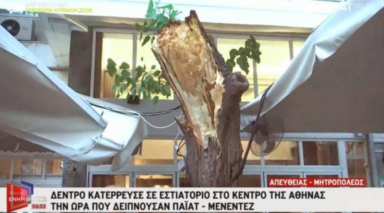 Κατέρρευσε δέντρο σε εστιατόριο στο κέντρο της Αθήνας την ώρα που έτρωγαν Πάιατ και Μενέντεζ (βίντεο)
