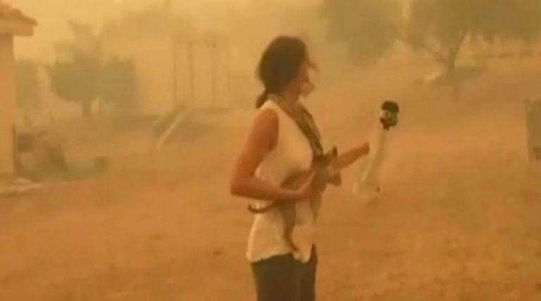 Φωτιά στην Εύβοια: Η συγκλονιστική στιγμή που δημοσιογράφος σώζει γατάκι από τις φλόγες (βίντεο)