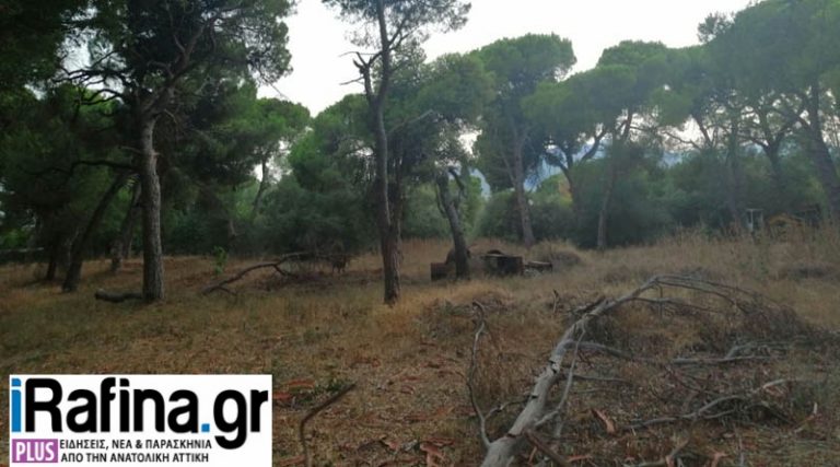 Καταγγελία στο iRafina.gr: Ακαθάριστο οικόπεδο “βόμβα” στο Ζούμπερι, με την ανοχή του Δήμου Μαραθώνα (φωτό & έγγραφα)