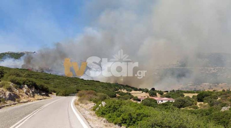 Φωτιά στις Πετριές στην Εύβοια: Κοντά στο χωριό οι φλόγες – Κινητοποιήθηκαν εναέριες δυνάμεις